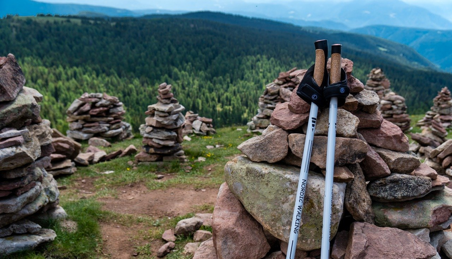 Oveselība aicina apgūt nūjošanas pamatus