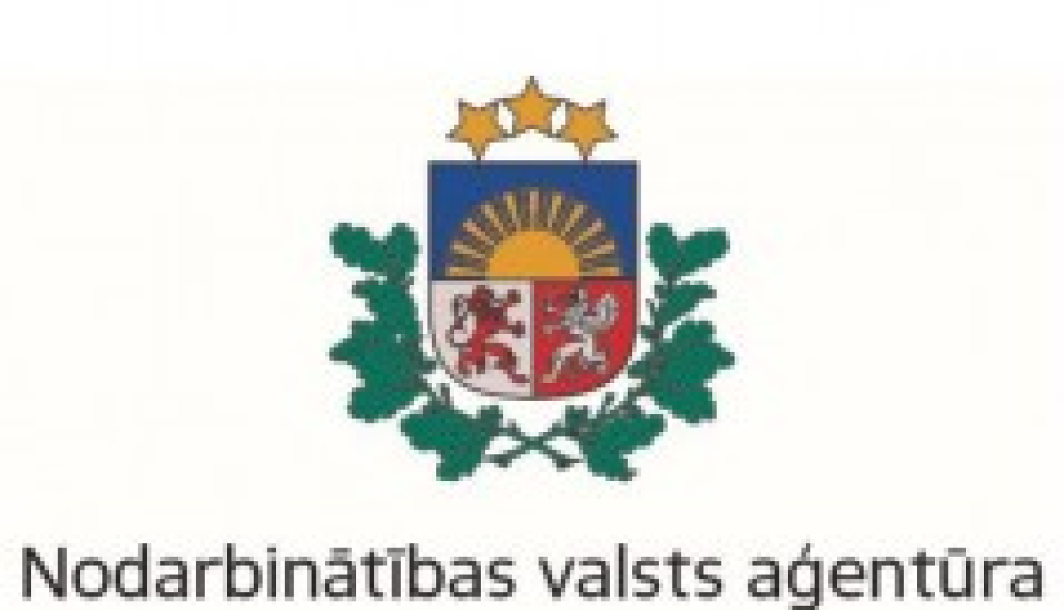 Skolēnu elektroniskā reģistrācija dalībai NVA vasaras nodarbinātībā