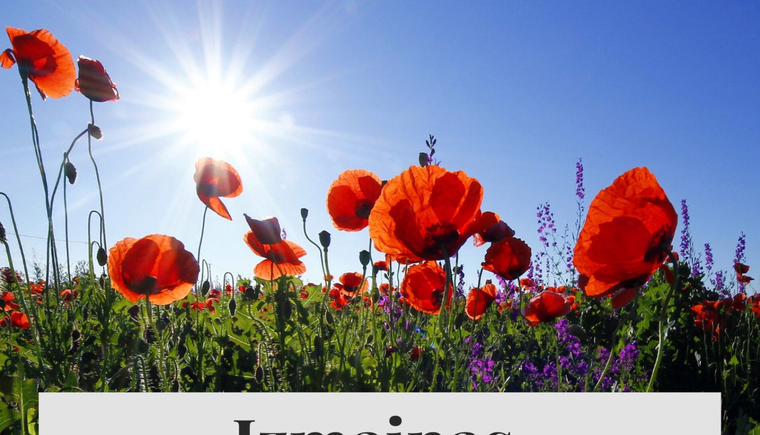 Ogres Centrālā bibliotēka apkalpo lasītājus klātienē