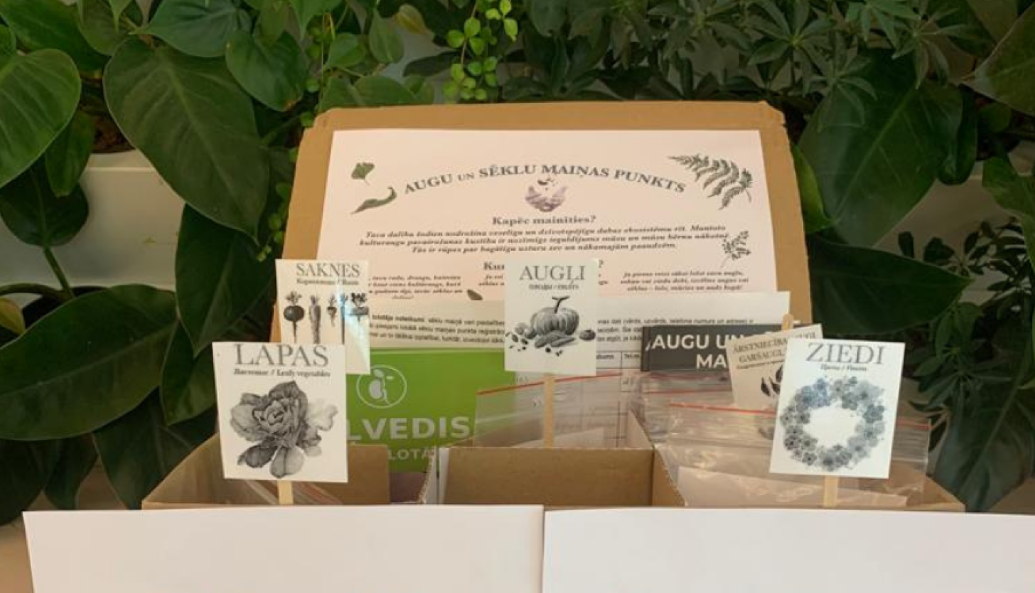 Sēklu maiņas punkts Ogres Centrālajā bibliotēkā