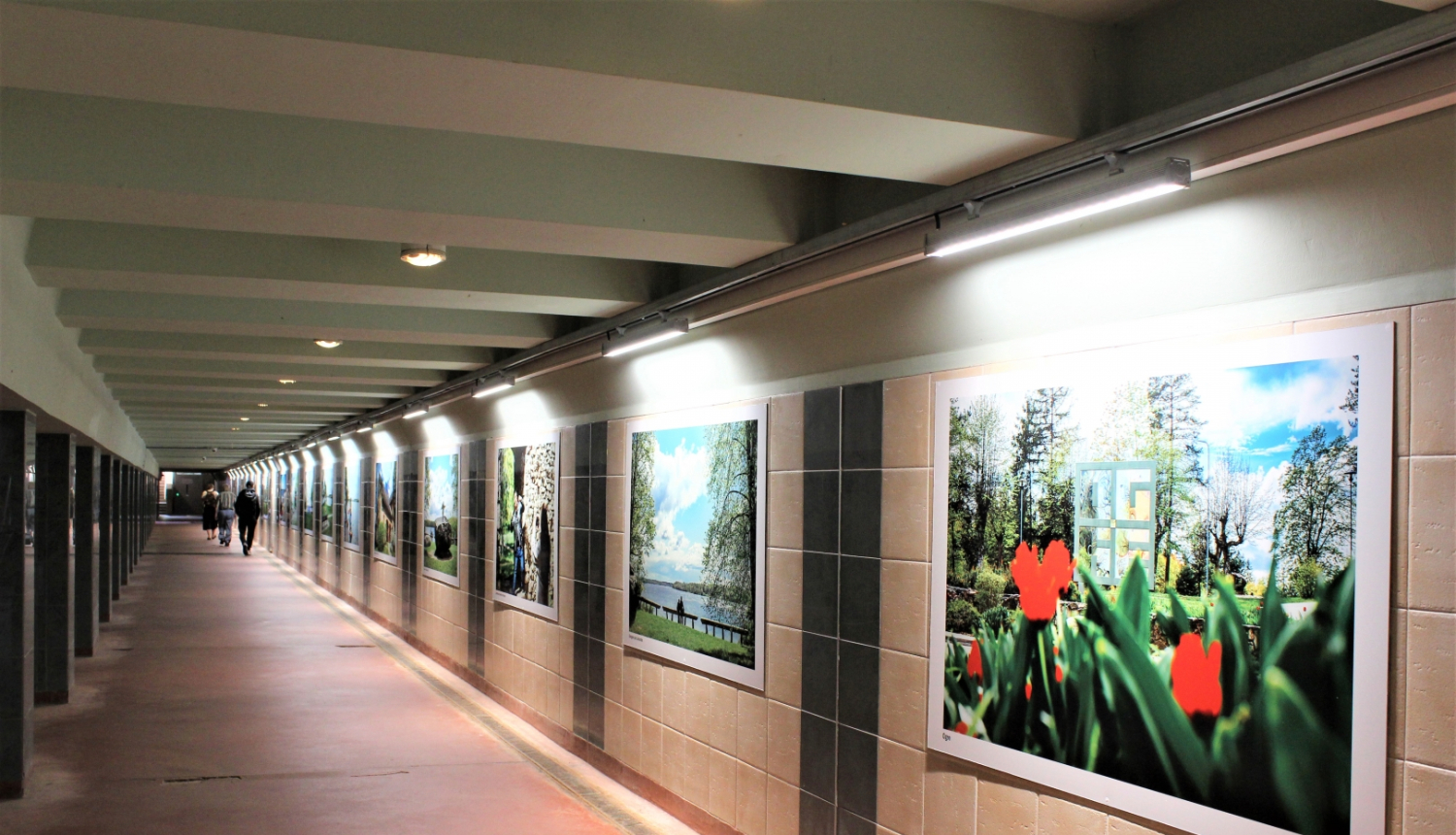 Ogres gājēju tunelī izveidota jauna galerija