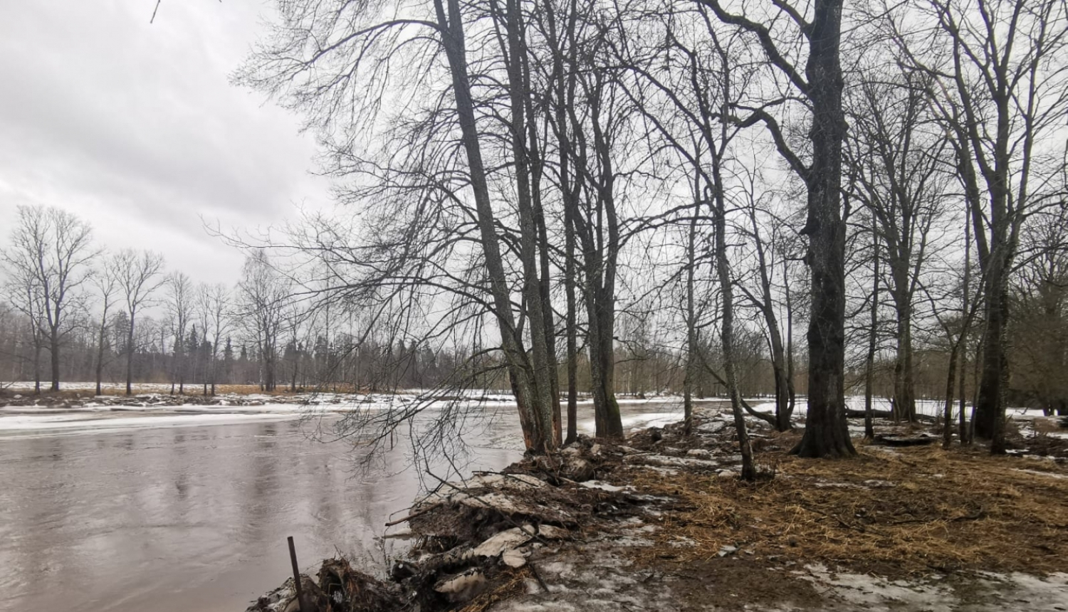 Ogres upe 17.02.2022.