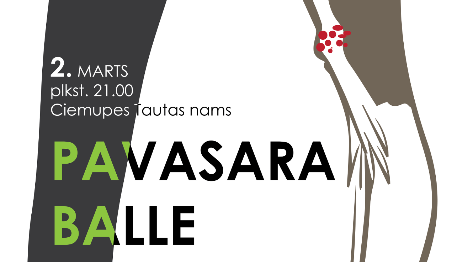 PAVASARA BALLE Ciemupē plakāts 02.03.2024