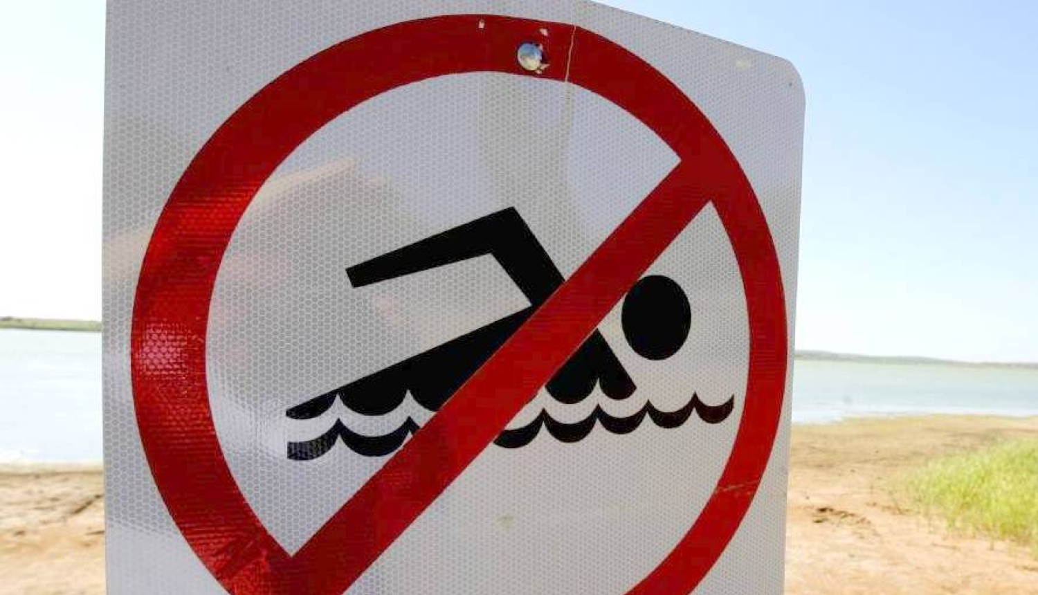 Piesārņojuma dēļ aizliegts peldēties Madlienas pagastā baseinā pie skolas