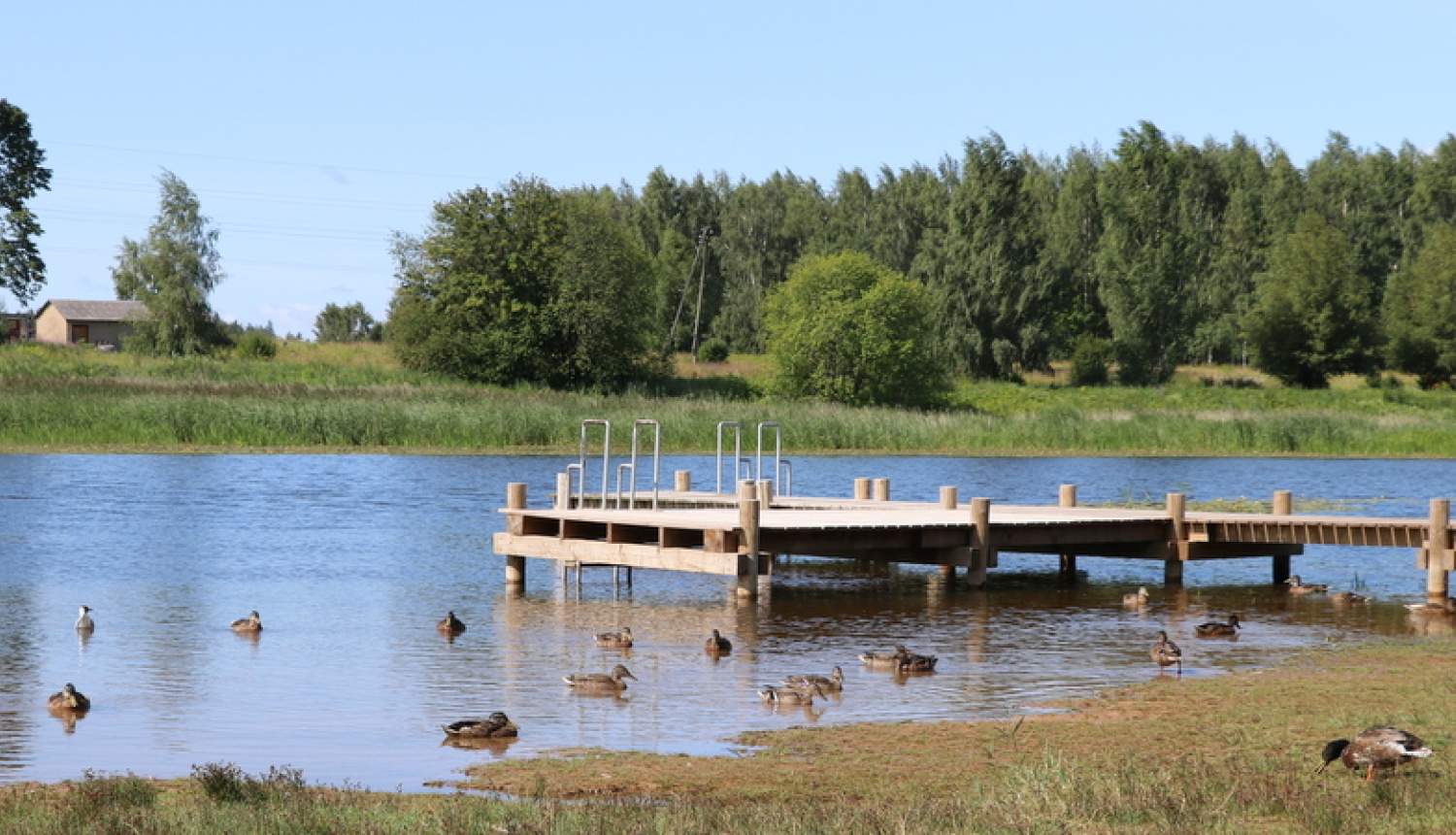 Barojot putnus, nodarām tiem lielu ļaunumu