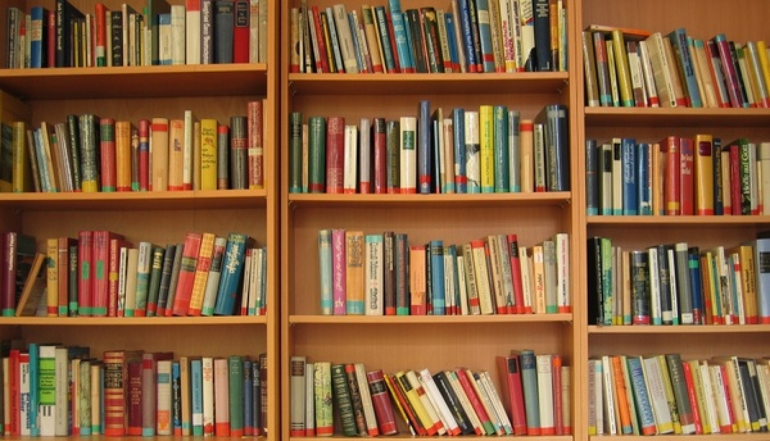 Bibliotēka pakāpeniski atsāk darbu