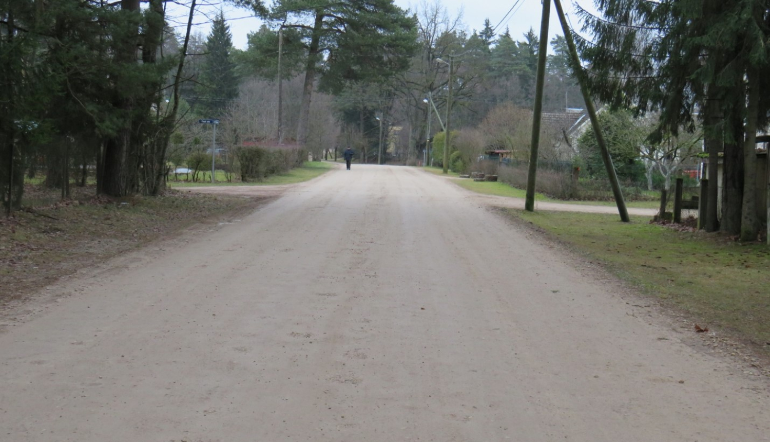 Ogrē notiks ielu atputekļošana