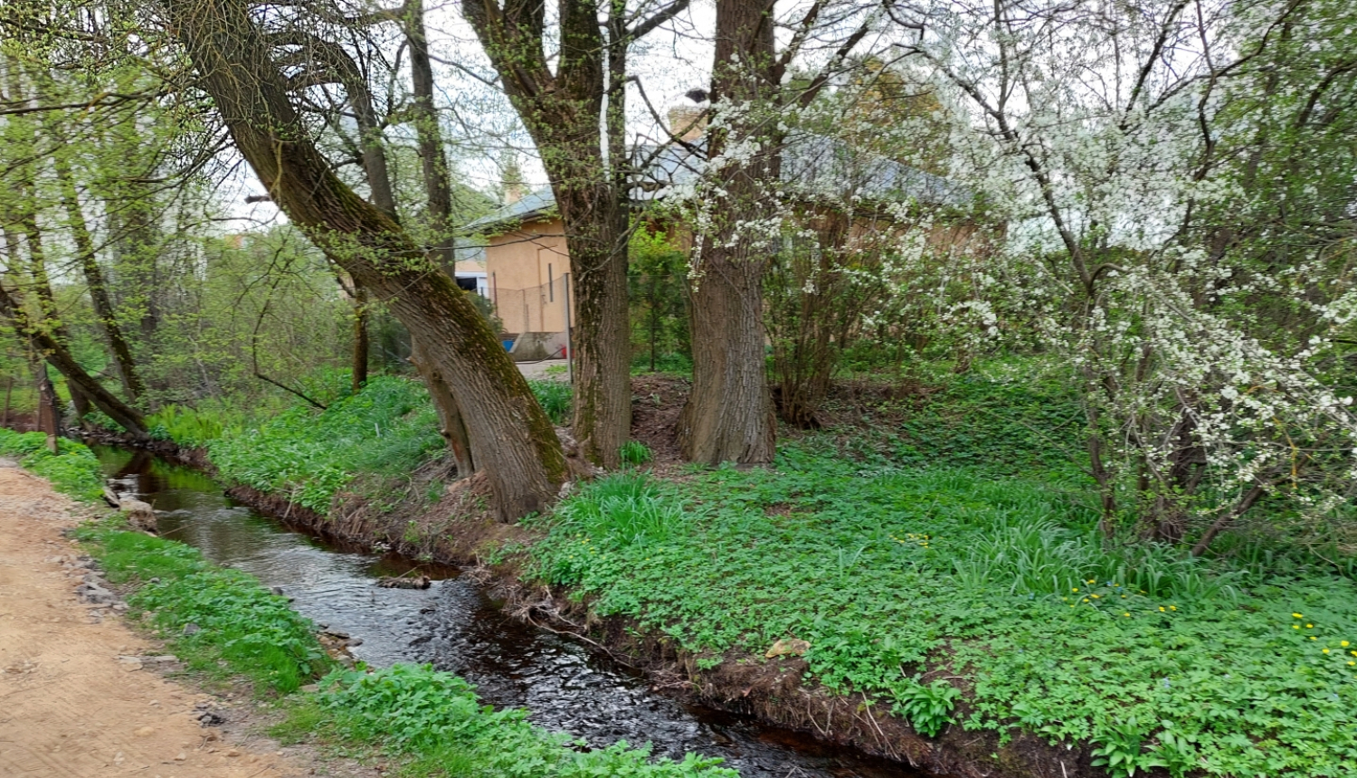 Lebiņas upe, Ogre (24.04.2023)