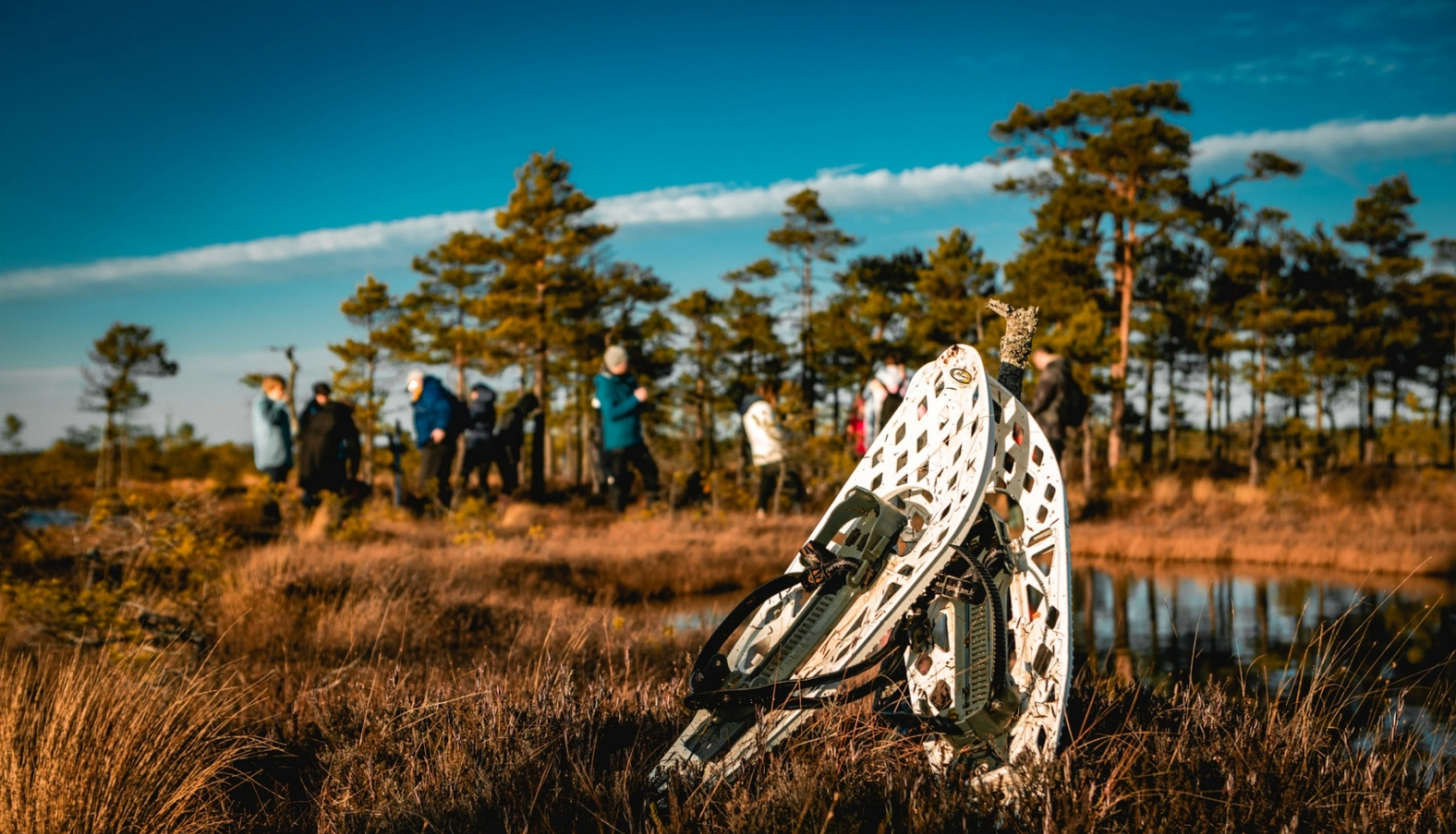 Pārgājiens pa purva takām, koki, purva kurpes