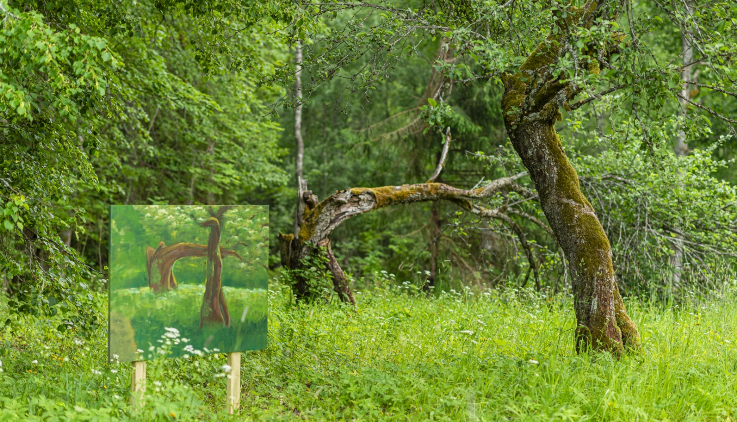 Purvīša muzeja apkārtne