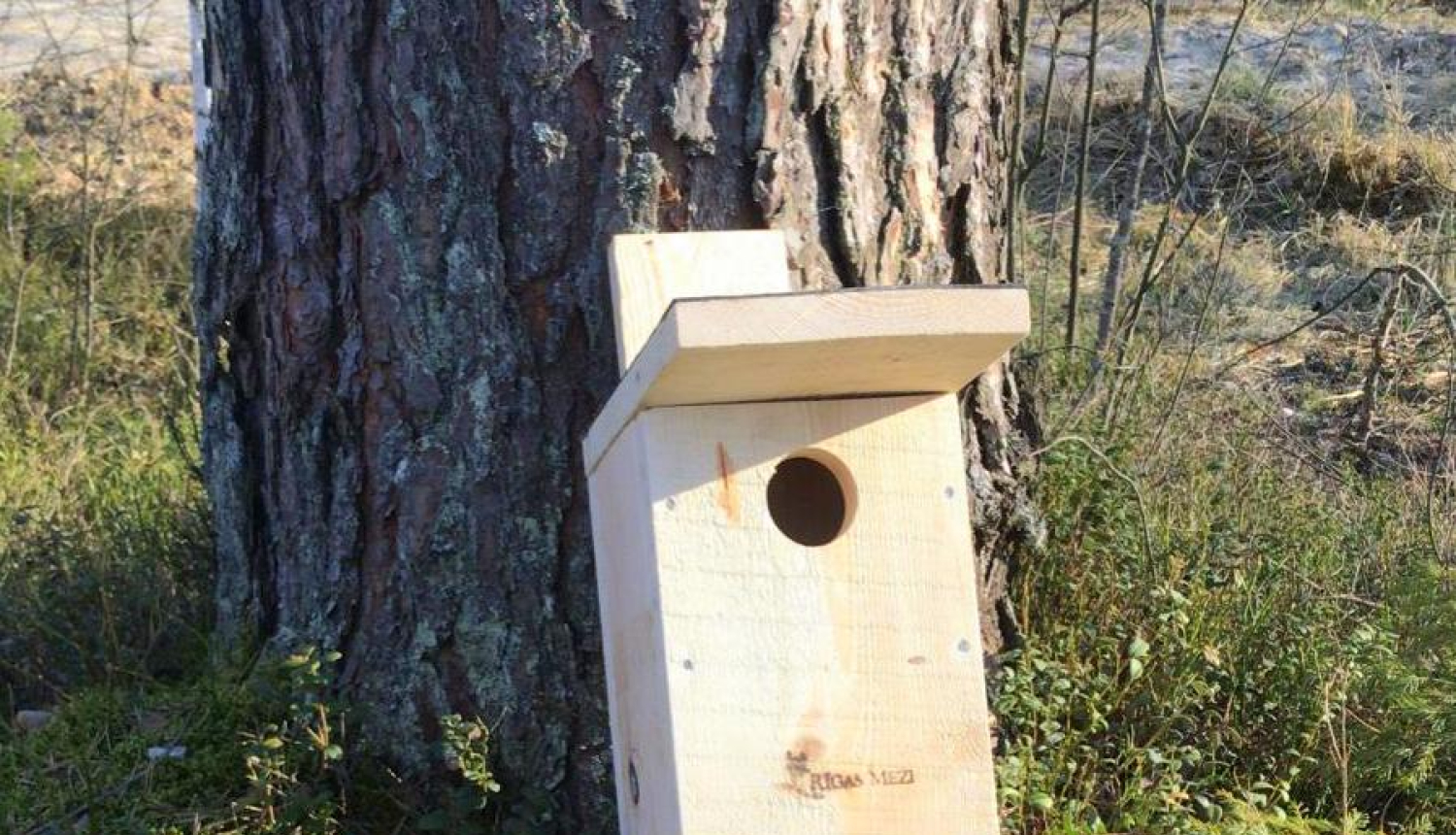 Ogres novada ģimenes var pieteikties putnu būrīšu saņemšanai