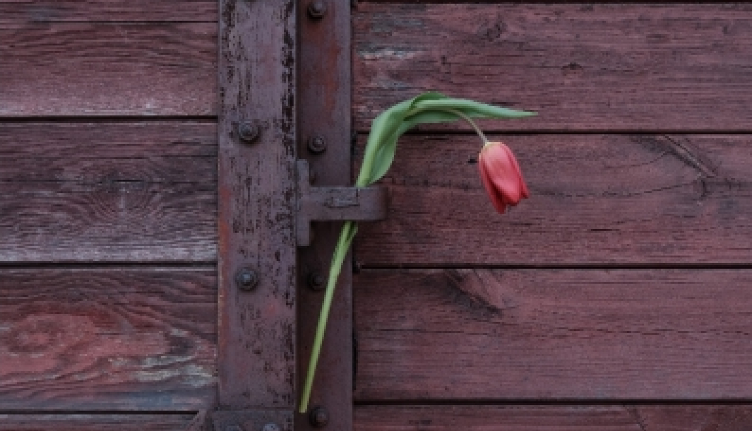 Komunistiskā genocīda piemiņa Madlienā plakāts 14.06.2023
