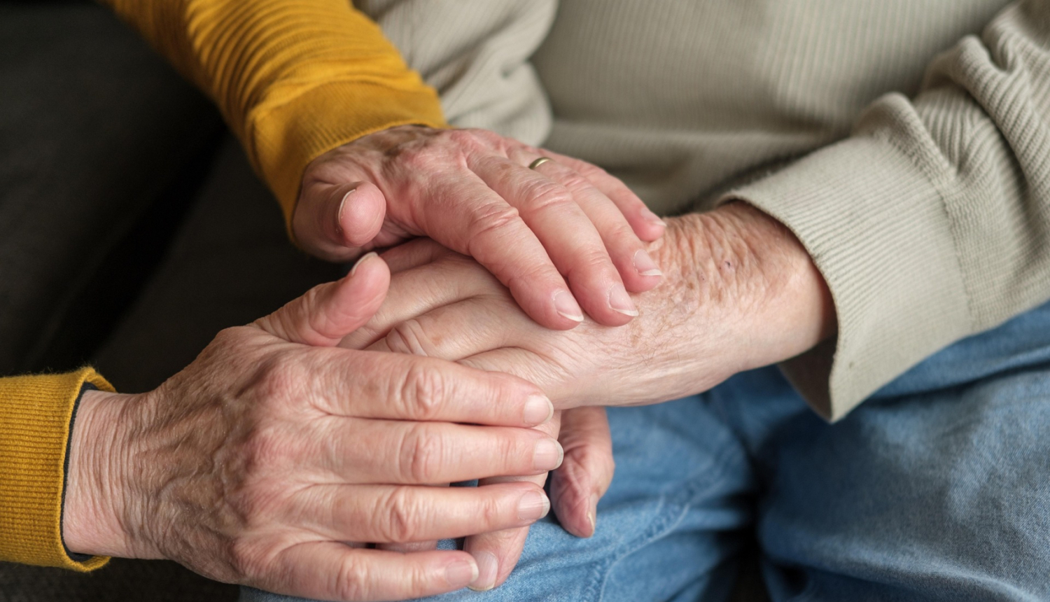 Rokas silda citas rokas