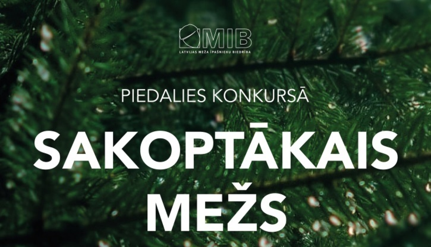 Konkurss Sakoptākais mežs 2023 plakāts