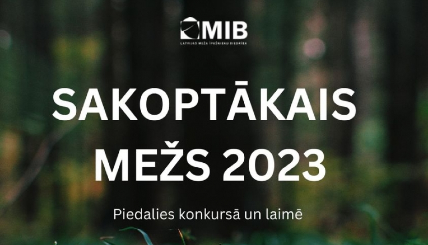 Afiša "Sakoptākais mežs 2023 - piedalies konkursā un laimē"