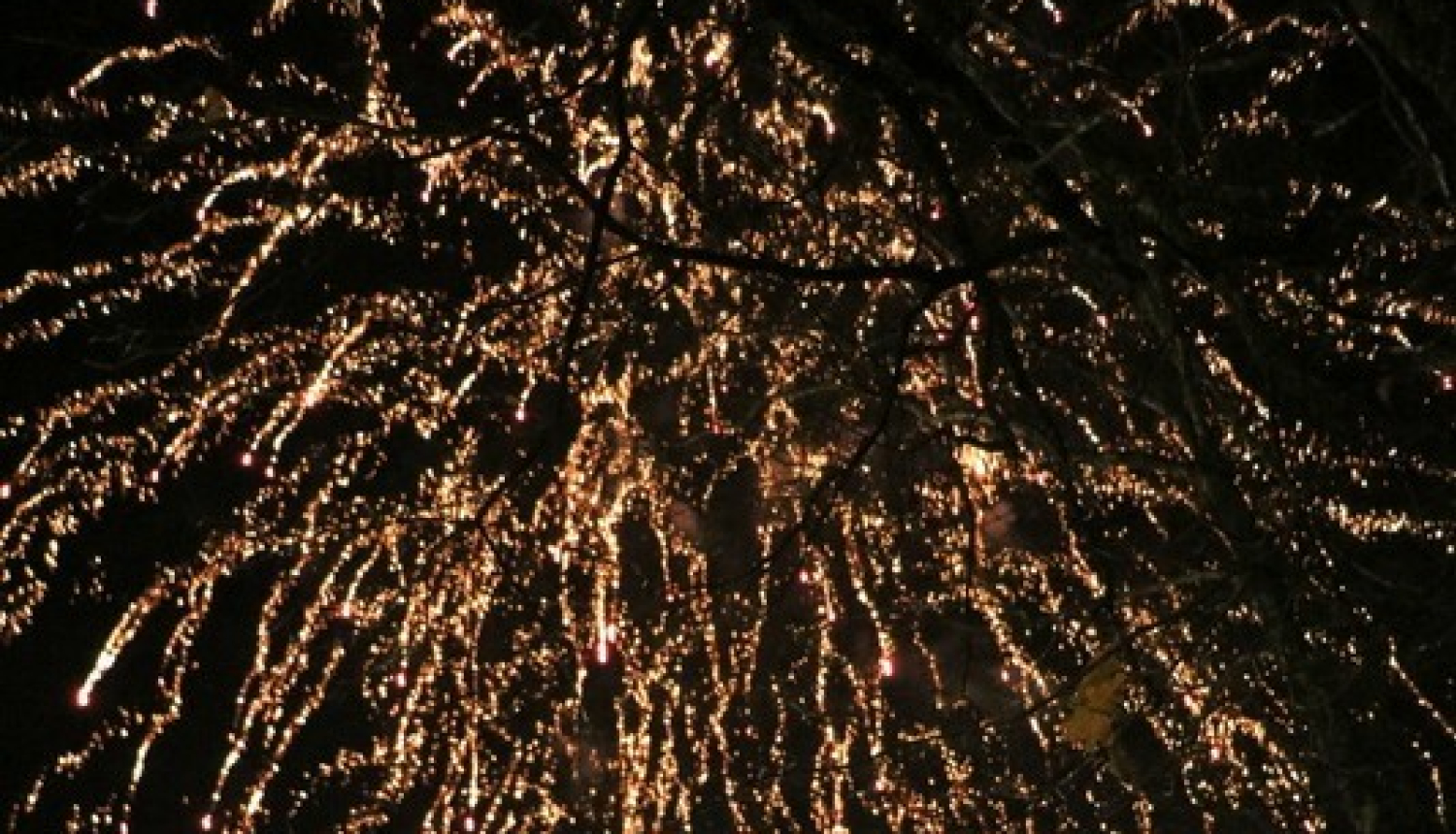 18. novembra svētki Ogrē