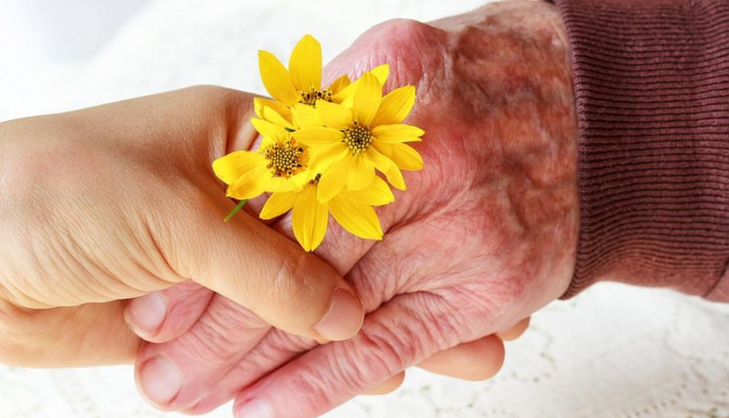 Sveicam novada seniorus!