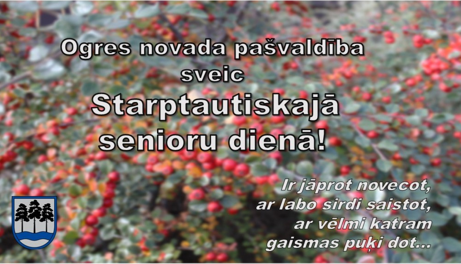 Ogres novada pašvaldība sveic Starptautiskajā senioru dienā 2024