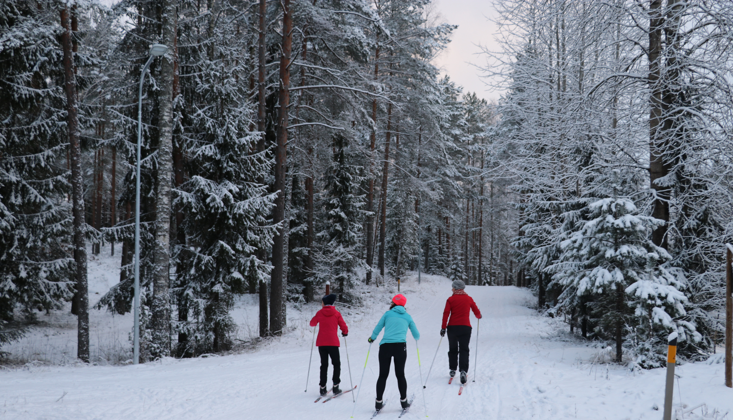 Distanču slēpotāji iecienījuši trases Ogres Zilajos kalnos