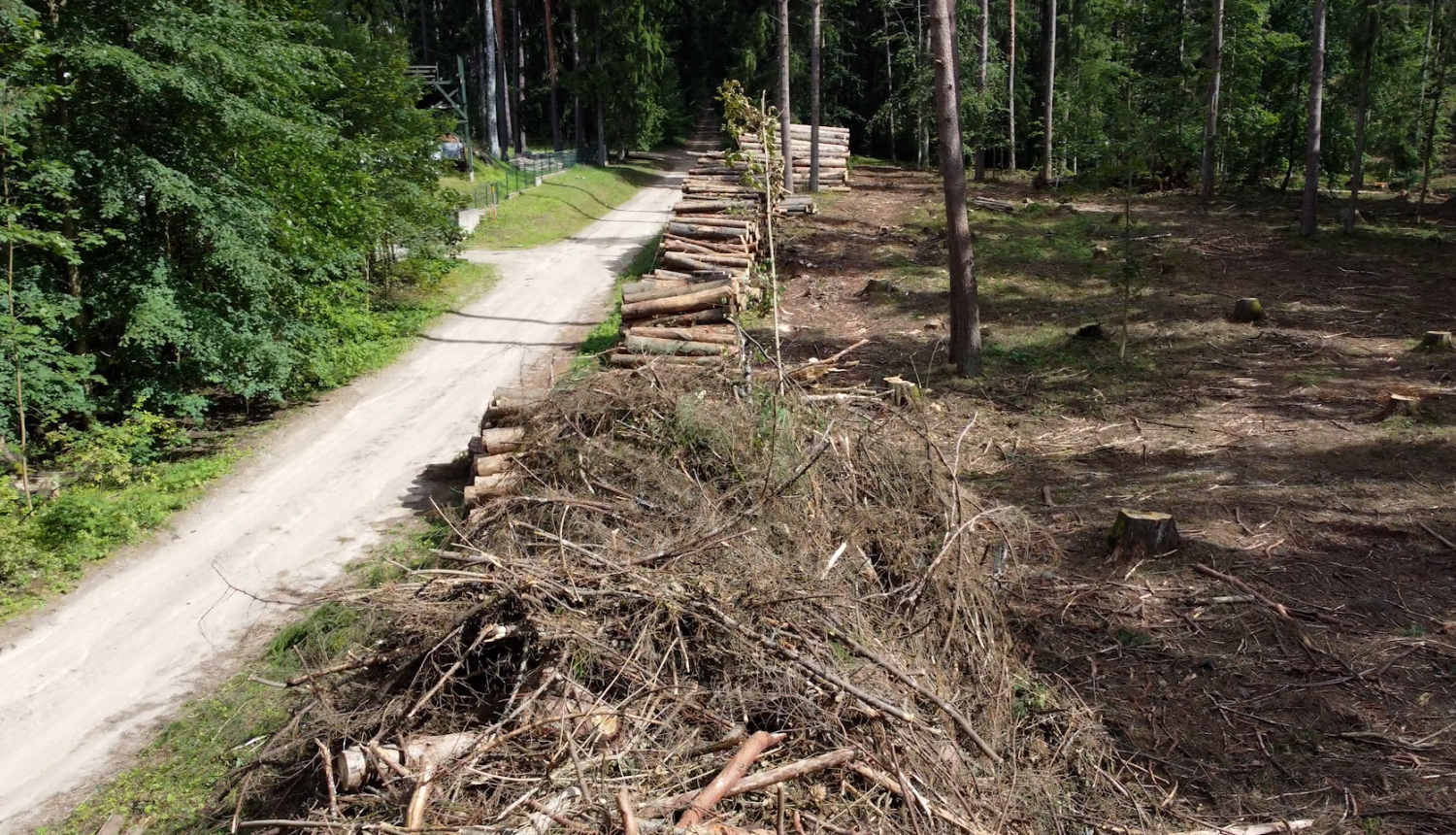 Egles sūnu ielā 08.2023.