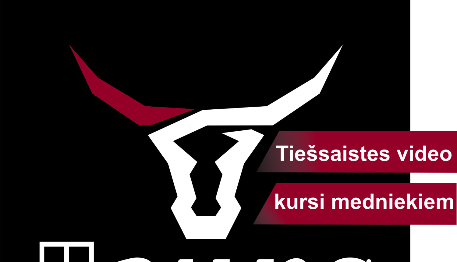 Aicina piedalīties bezmaksas tiešsaistes semināros par medniecību