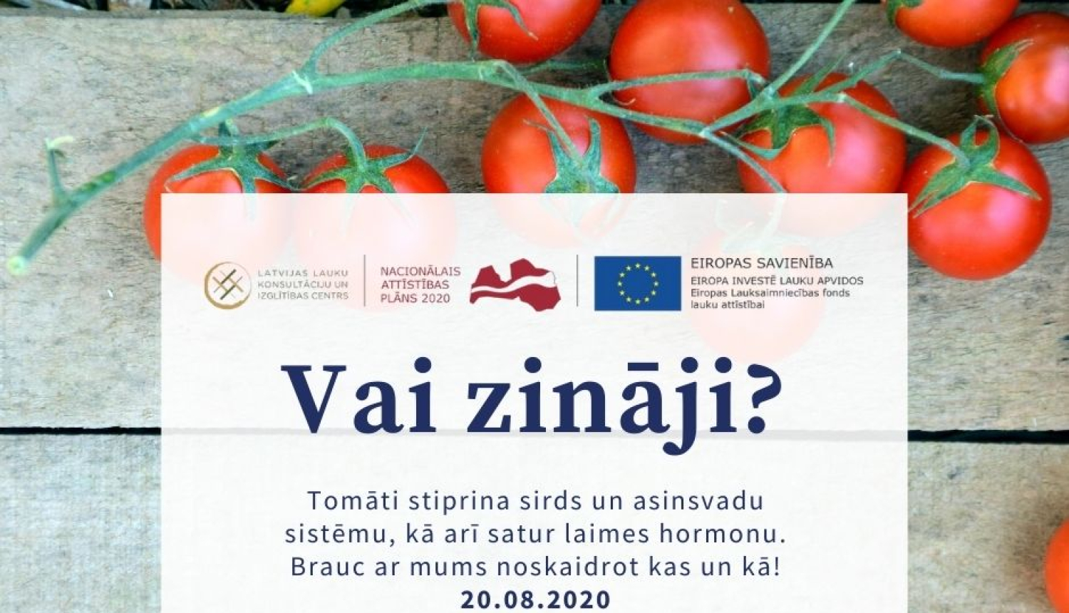 Apmaiņas brauciens uz tomātus audzējošām un pārstrādājošām saimniecībām