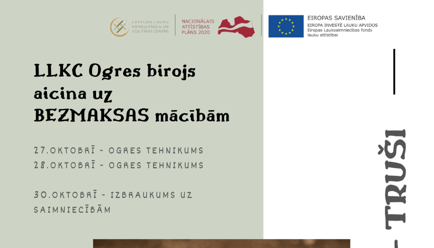 LLKC Ogres birojs aicina uz bezmaksas mācībām par trušiem