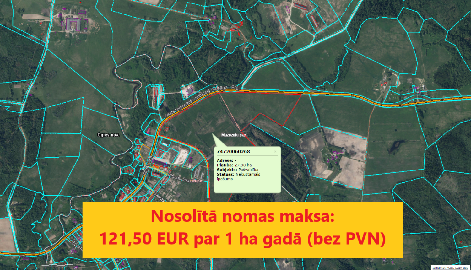 Rezultāti izsolei Mazozoli, Tumšais purvs