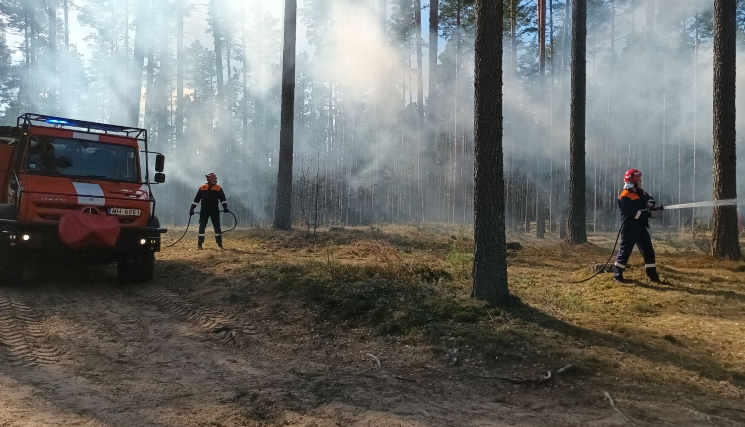 1. maijā stājas spēkā ugunsnedrošais laikaposms Latvijas mežos