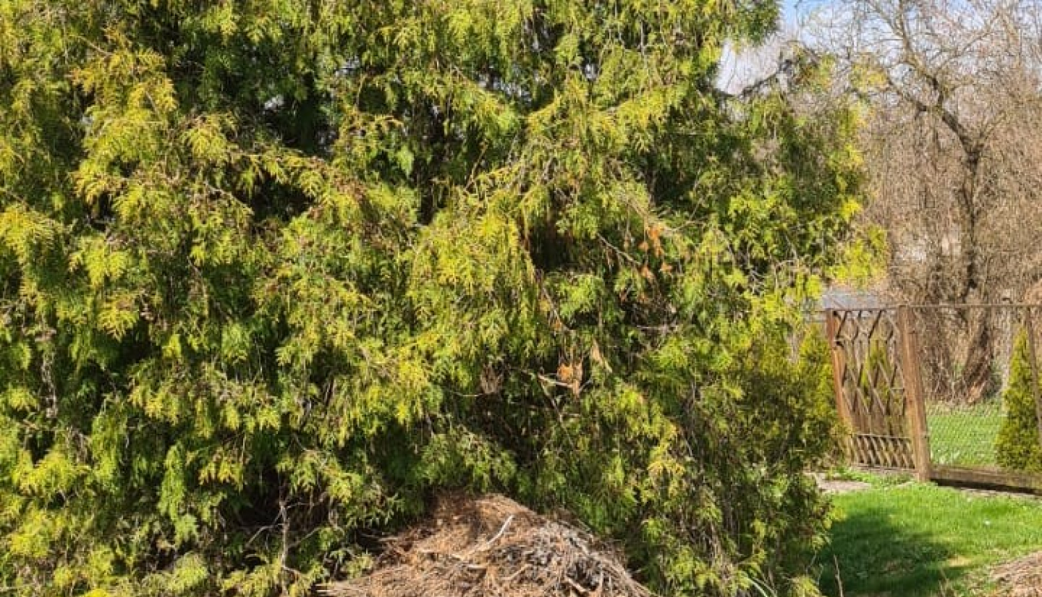 Komposts pie Urgas upes