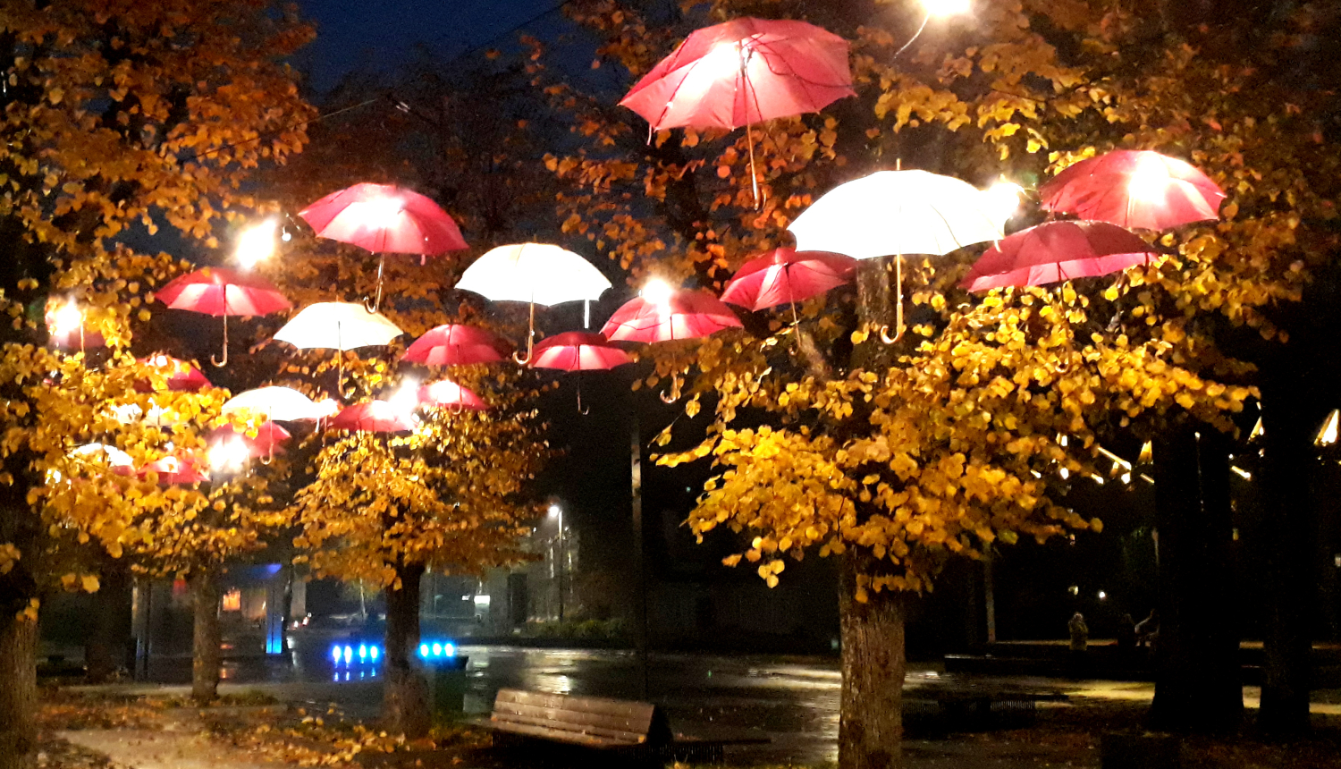 Ogre tērpusies svētku rotā