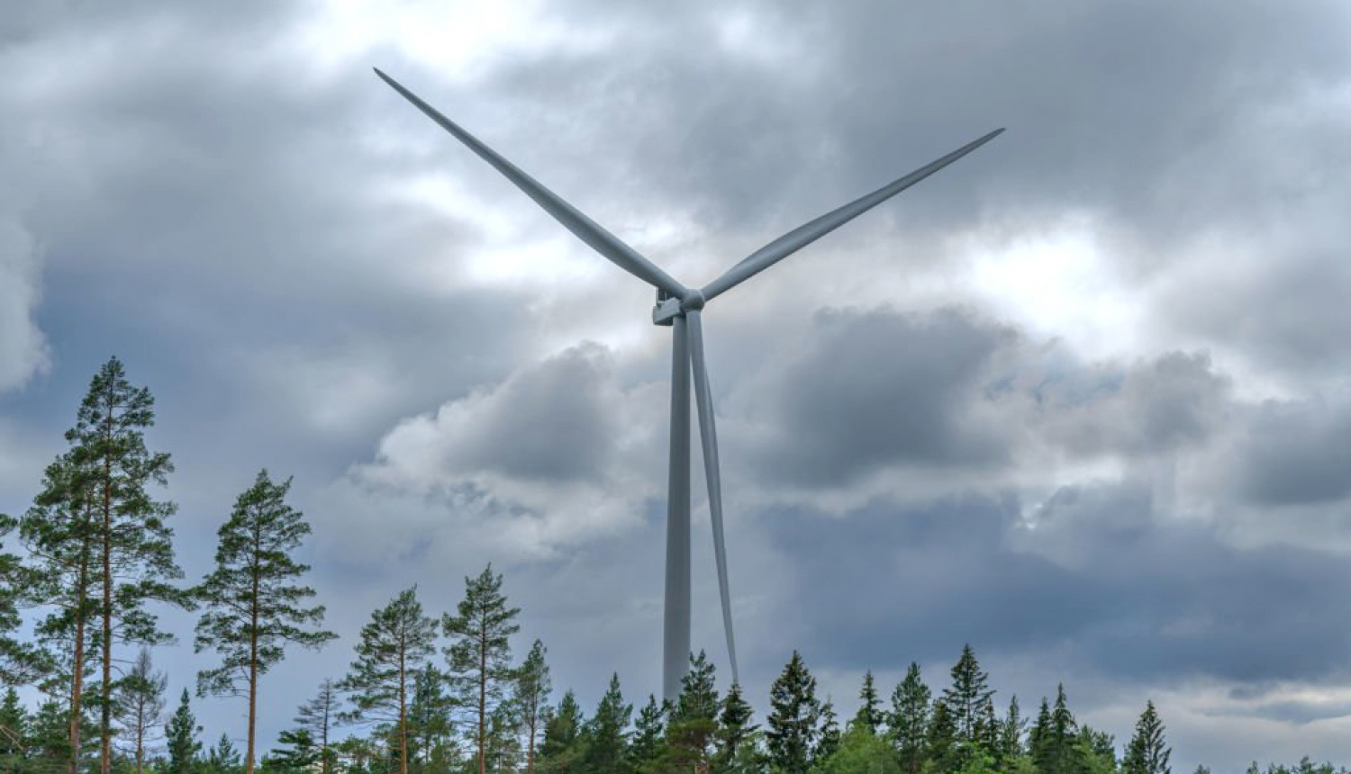 Vēja ģenerators, debesis un koku galotnes