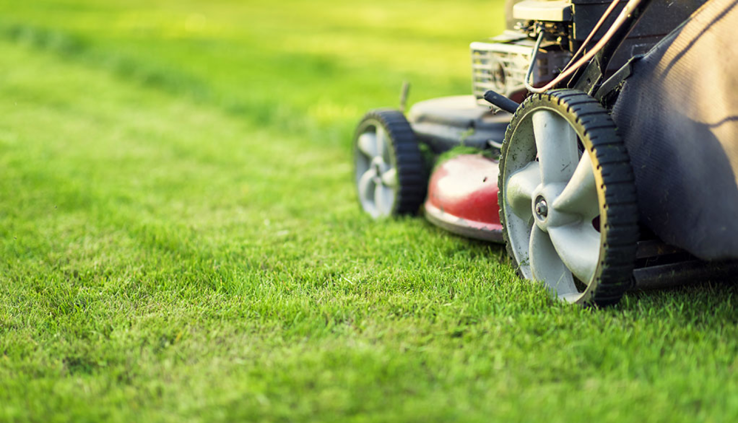 Pļaujmašīna pļauj zāli