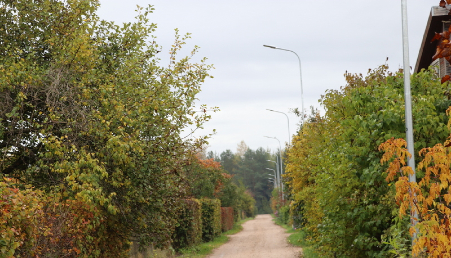 D/s Dārziņi tiks veikta traucējošo zaru apzāģēšana