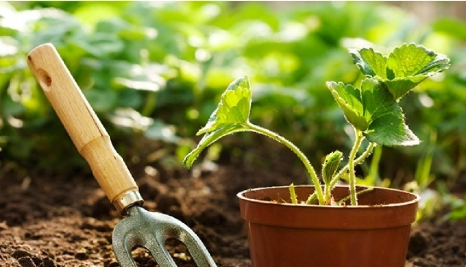 Arī šovasar skolēni varēs attīstīt sociālās prasmes un iemaņas