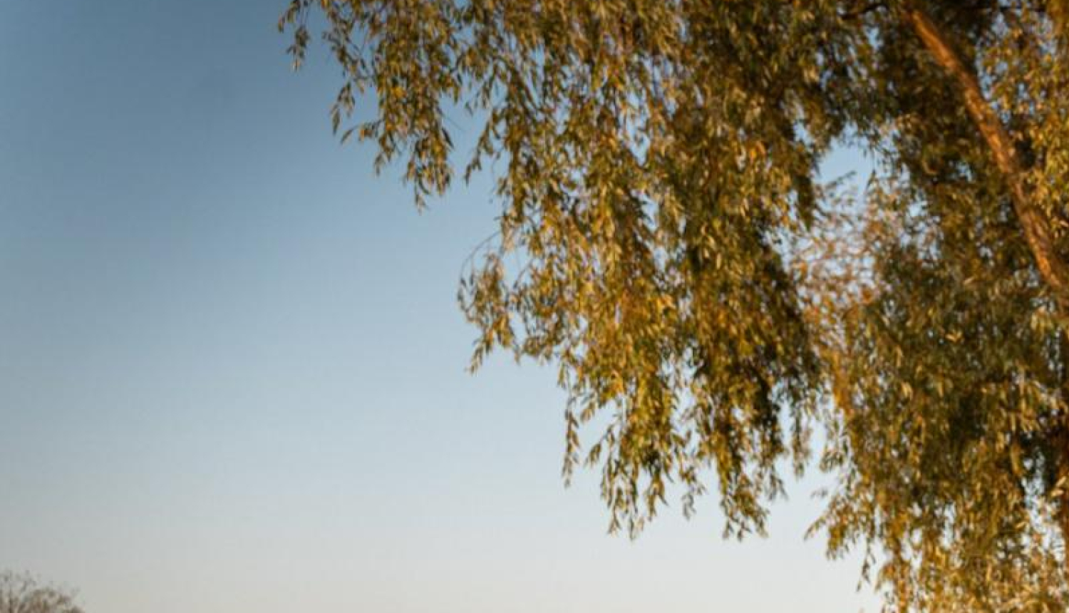 Foto: Gerda Grantiņa