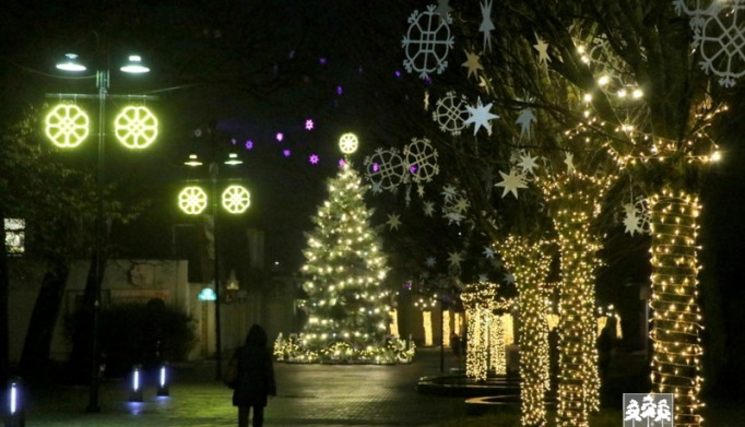 Pirmajā Adventē Ogrē iedegsies Ziemassvētku egle