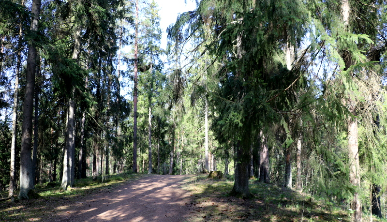 Noteikumi, kas jāievēro Ogres Zilajos kalnos