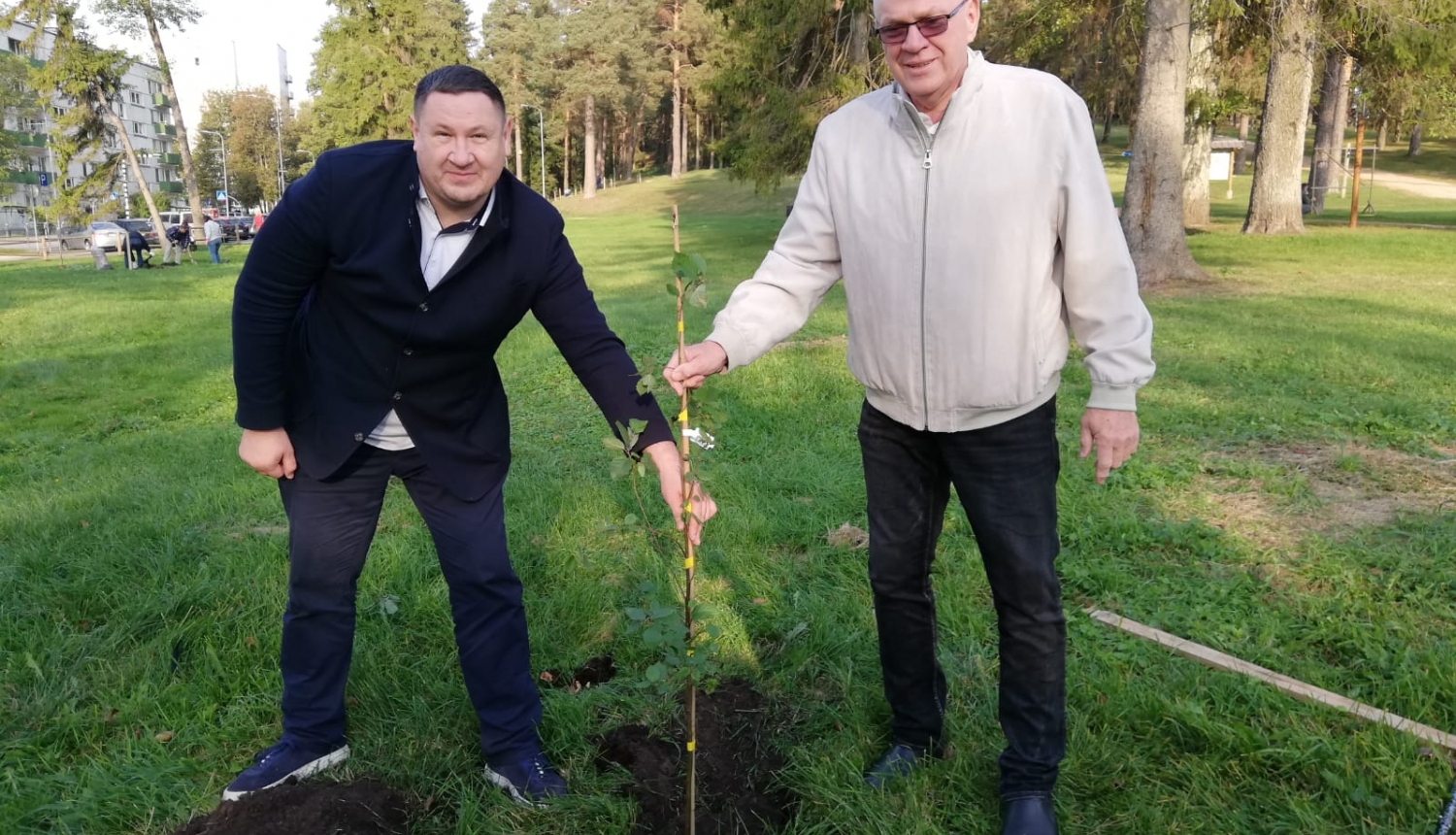 Atjauno mežaudzi Zilo kalnu pakājē