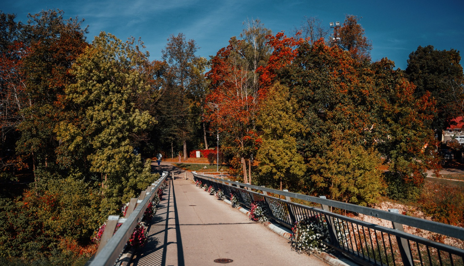 Rudens brīvlaiks Ogres novadā – piedzīvojumi un atpūta visai ģimenei