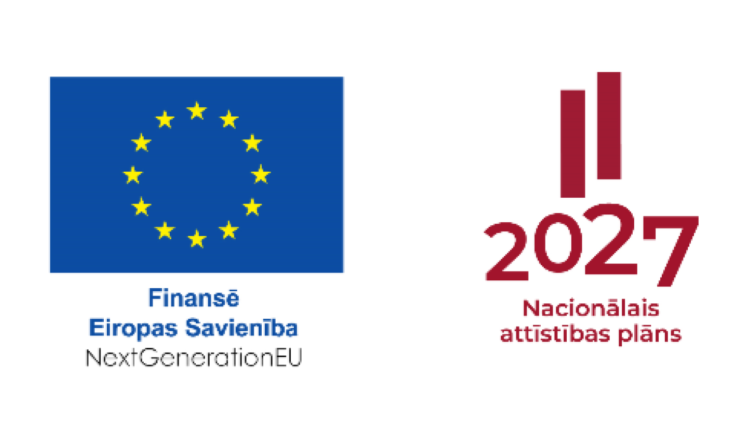 Logo ansamblis_next Genearation_NAP