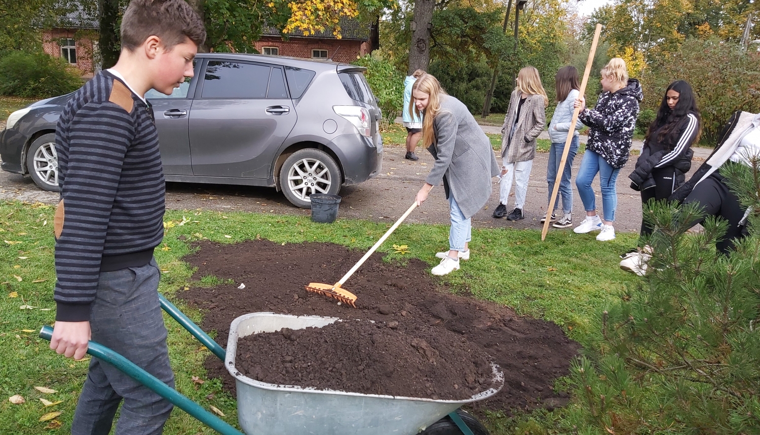 Meža dienu projektā pilnveidota Suntažu ainava