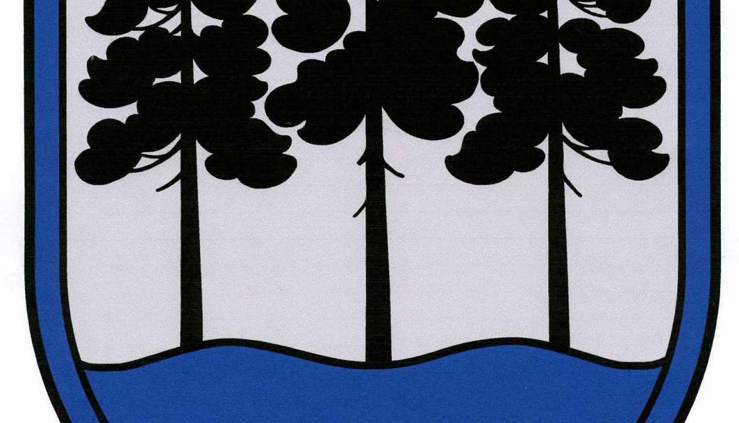 Apstiprināta pašvaldības reorganizācijas plāna konstatējuma daļa
