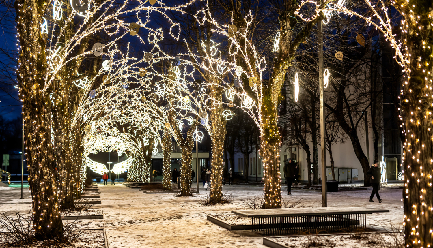 Izgaismota liepu aleja Ogrē