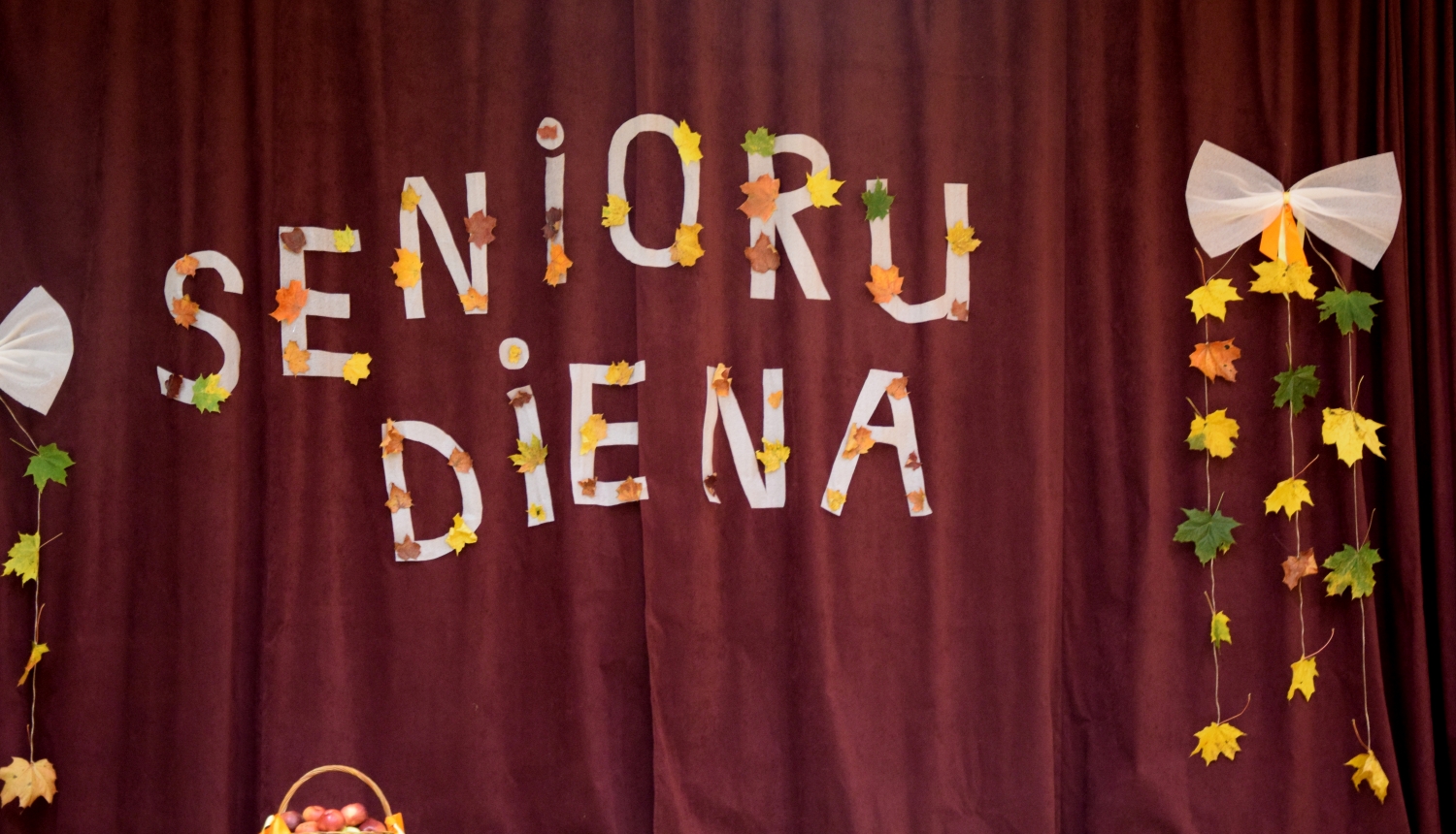 Senioru diena