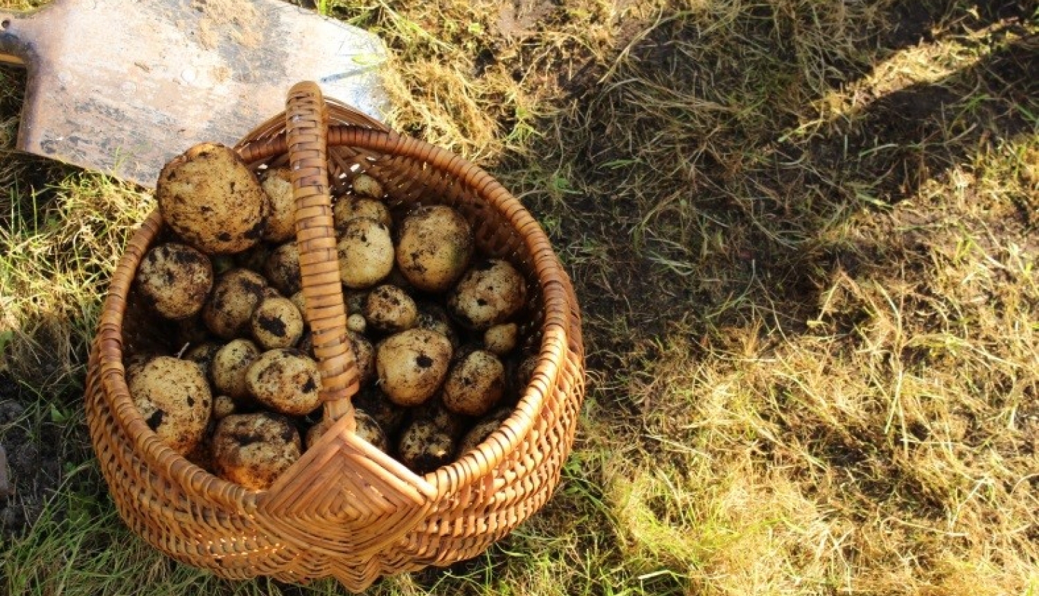 Rudentiņš bagāts vīrs Ogres VPII “Dzīpariņā”!
