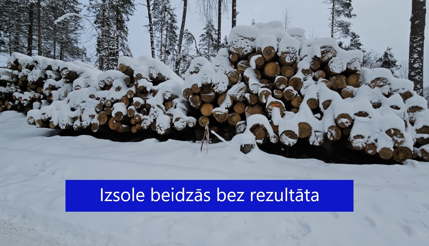 Apsnigusi zāģbaļķu kaudze 15.12.2023. ar uzrakstu bez rezultāta