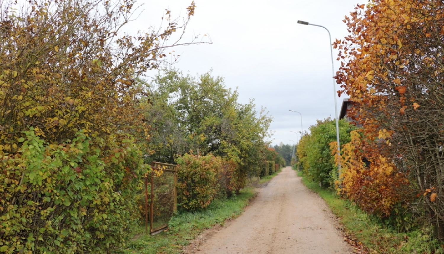 Lašupēs tiks veikta traucējošo zaru apzāģēšana