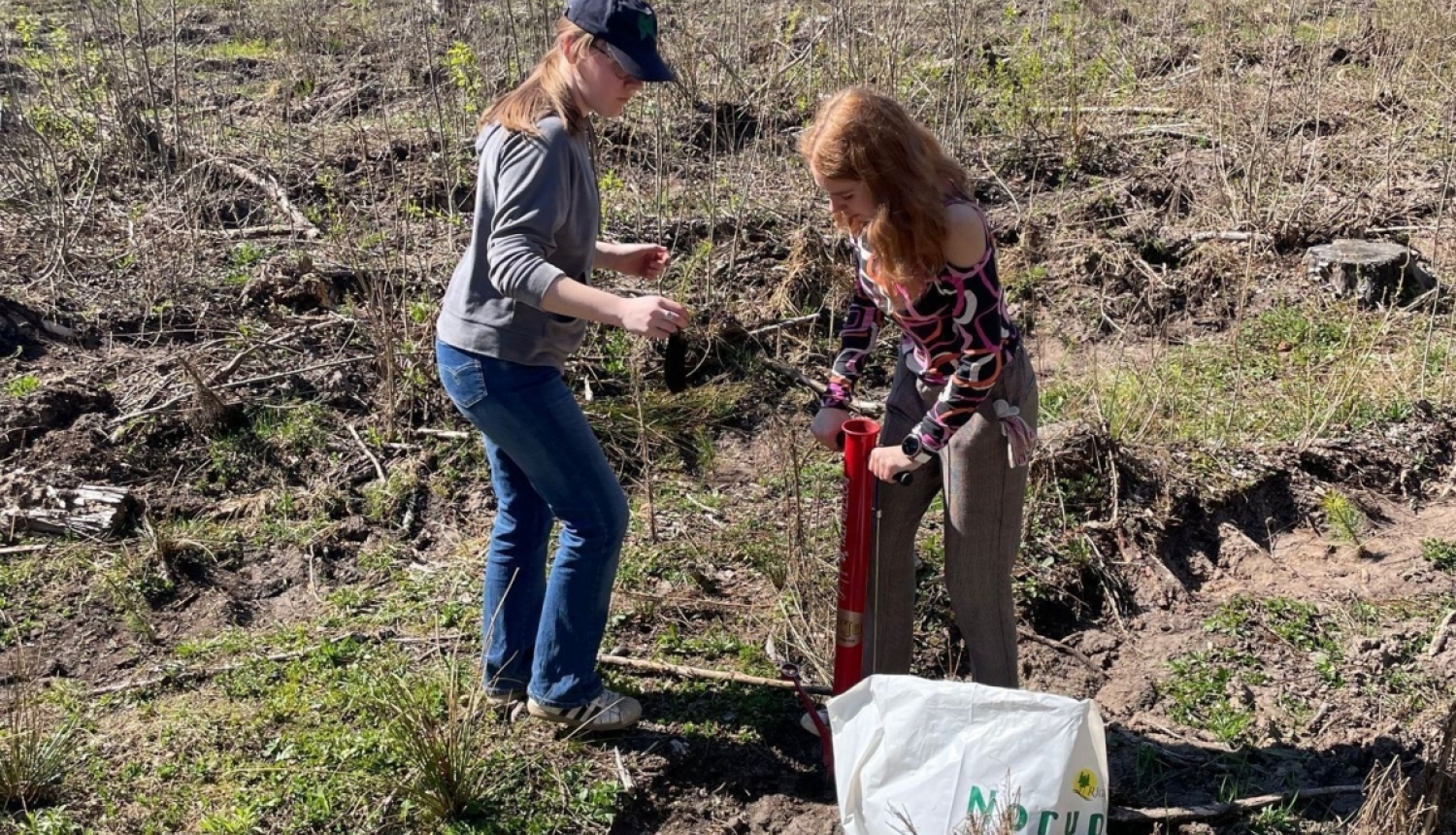 Ogresgala pamatskolas skolēni atjauno mežu Rembatē 22.04.2023.