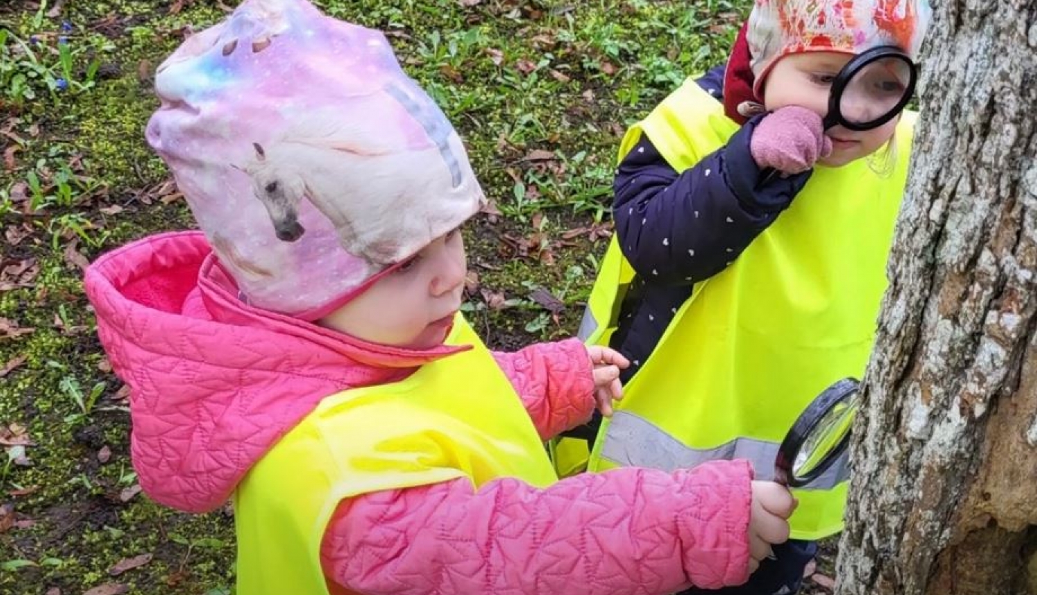 Jumpravas pamatskolas pirmsskolas grupu bērni iepazīst mežu